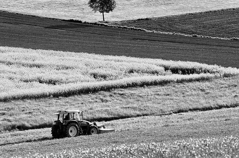 bureau d etude agriculture